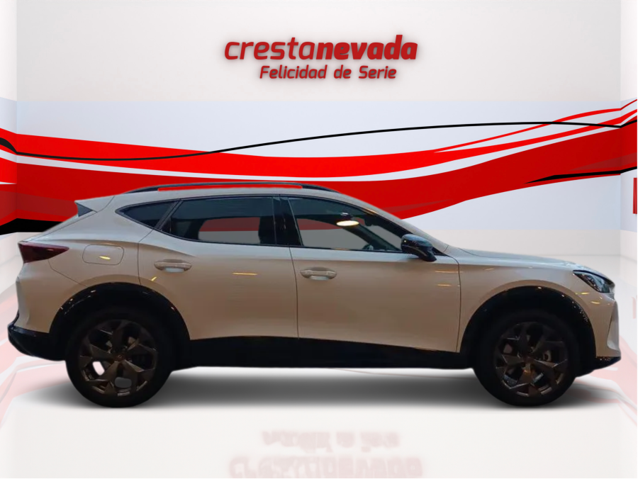 Imagen de cupra Formentor