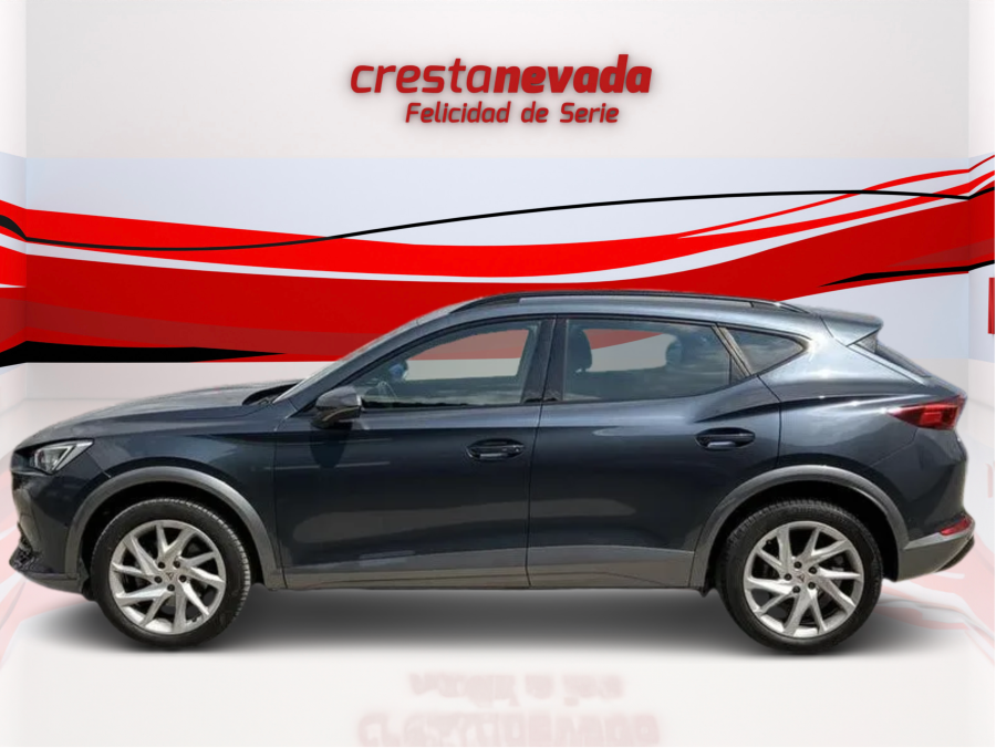 Imagen de cupra Formentor