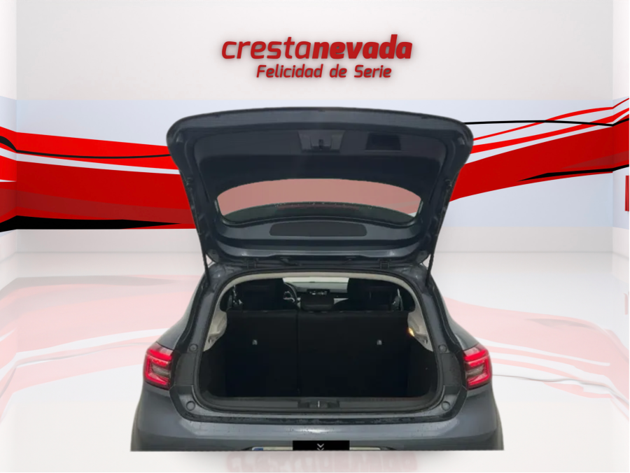 Imagen de Renault Clio