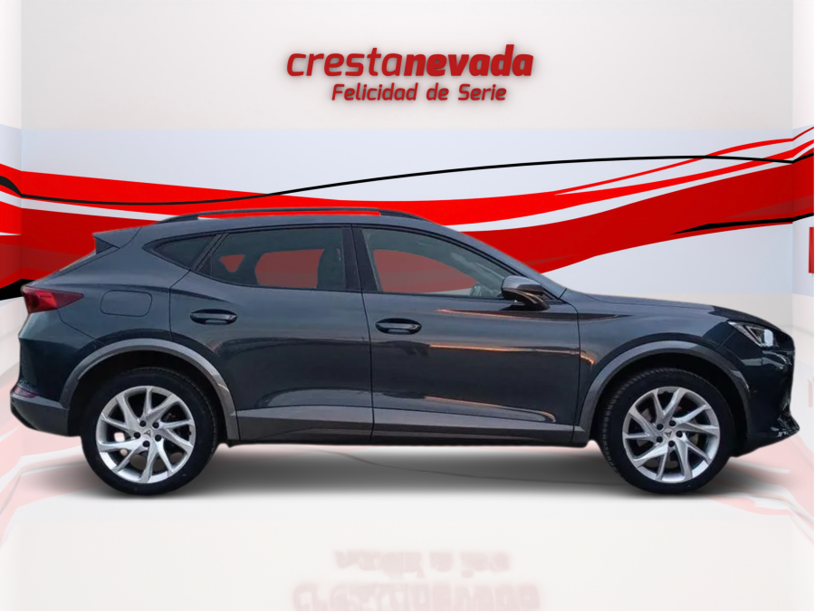 Imagen de cupra Formentor