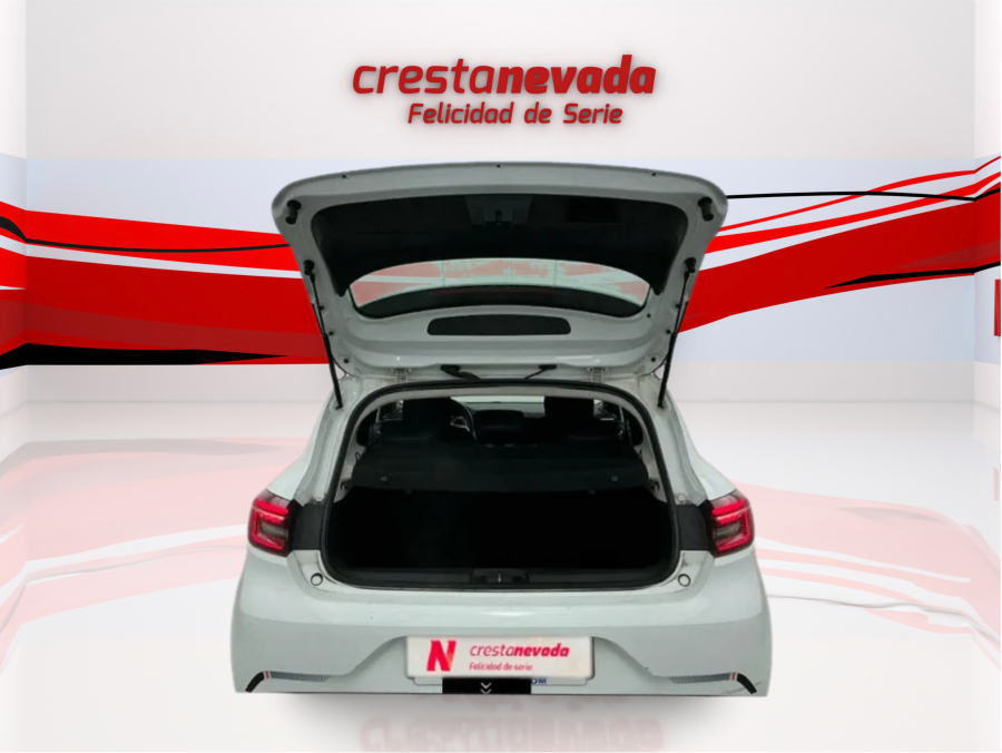 Imagen de Renault Clio