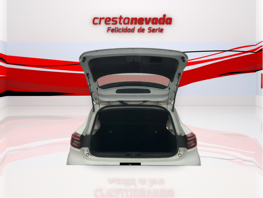 Imagen de Renault Clio