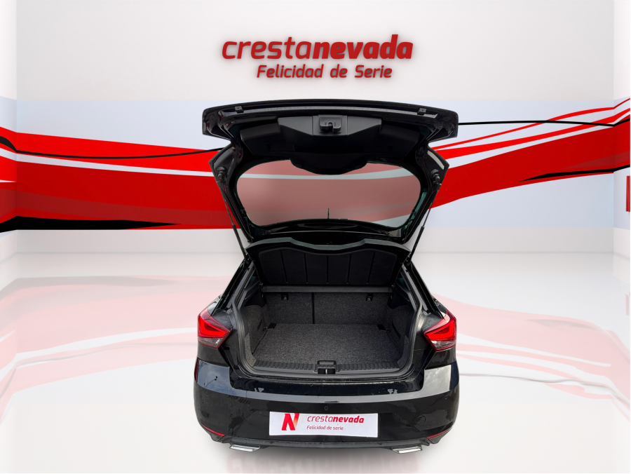 Imagen de SEAT Ibiza