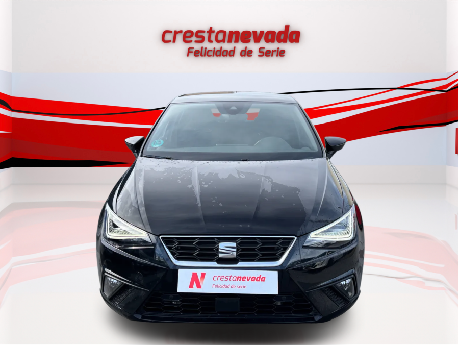 Imagen de SEAT Ibiza