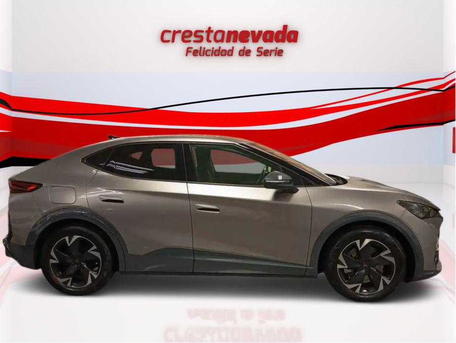 Imagen de cupra Tavascan