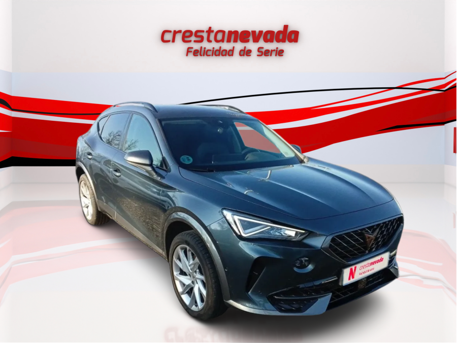 Imagen de cupra Formentor