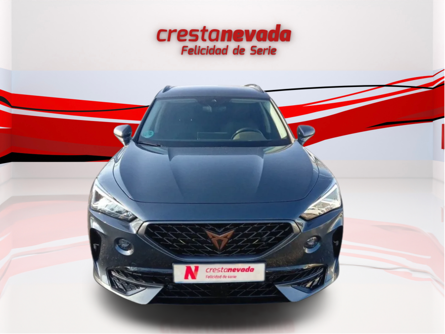 Imagen de cupra Formentor