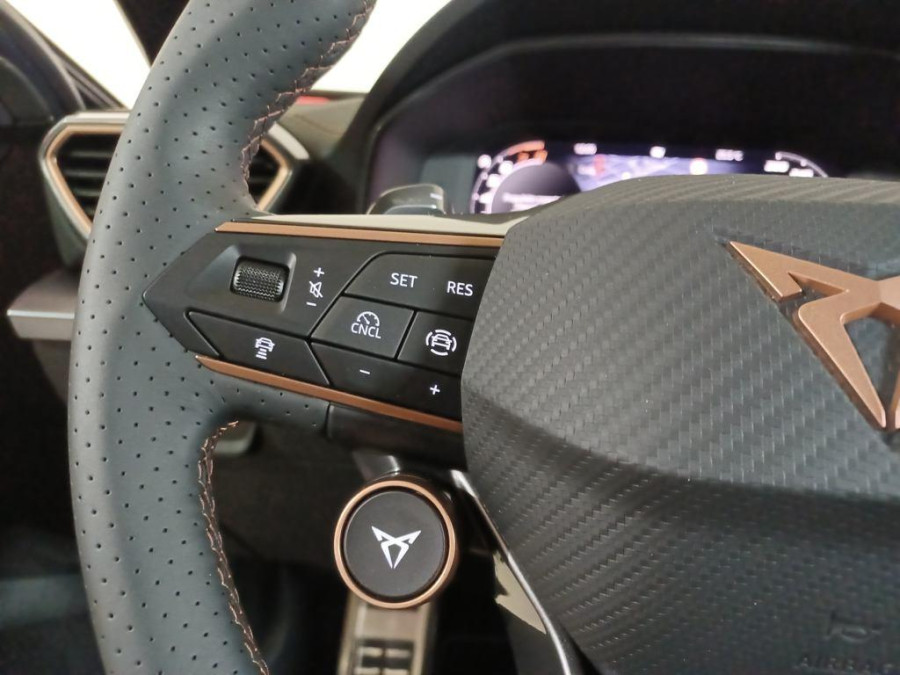 Imagen de cupra Formentor