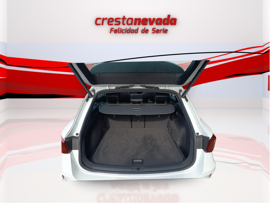 Imagen de cupra León