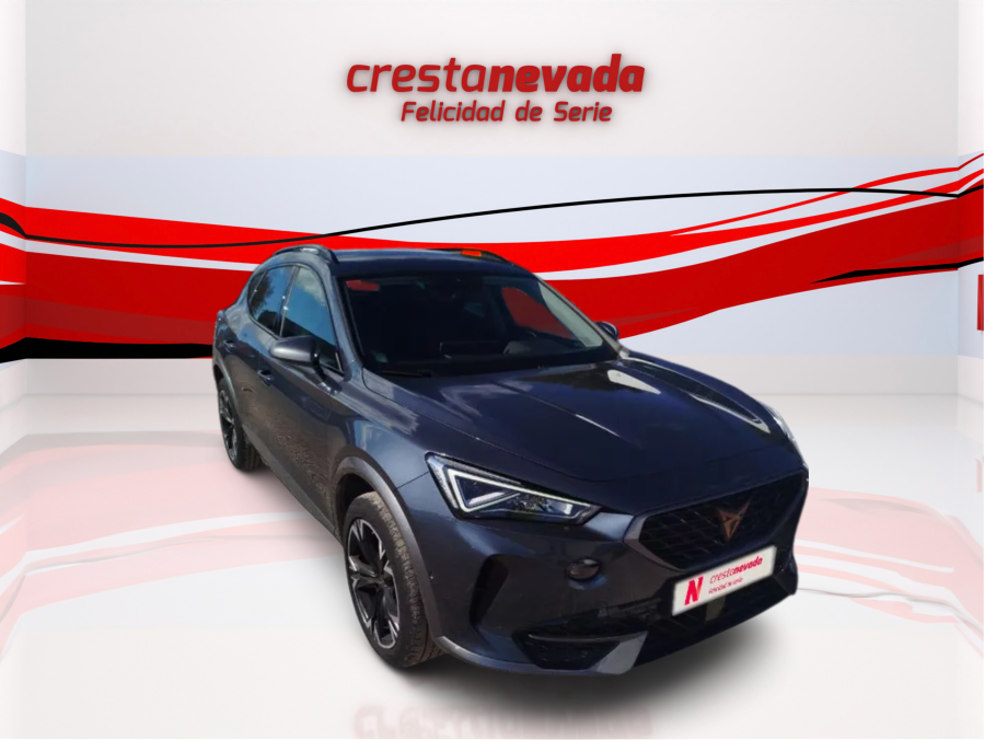 Imagen de cupra Formentor