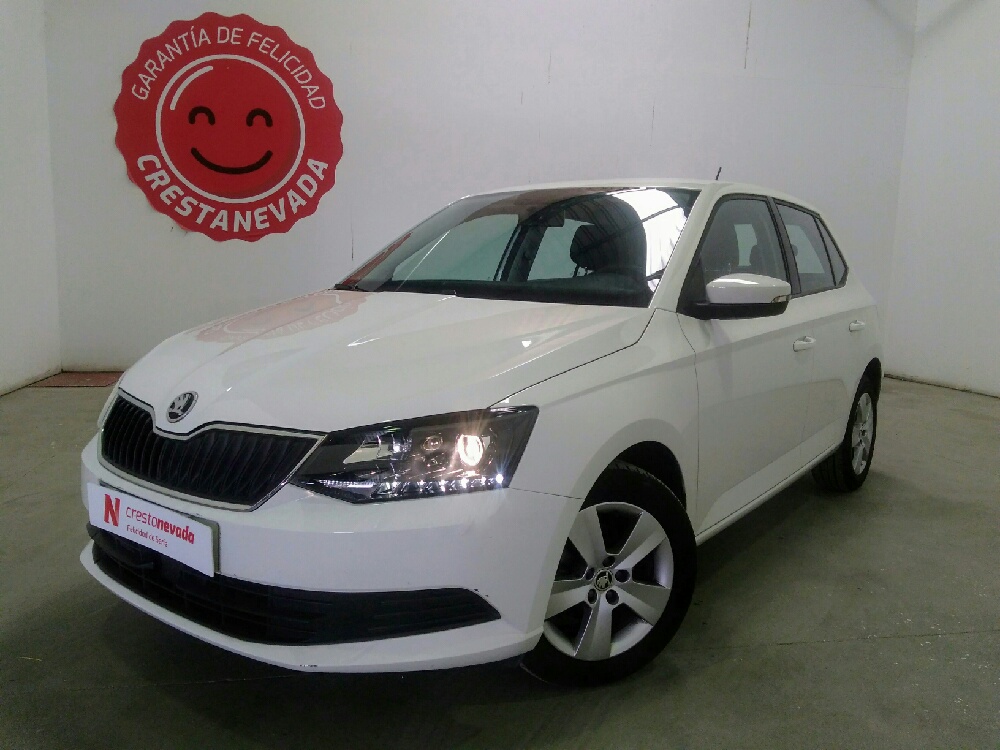 Imagen de Skoda Fabia Ambition