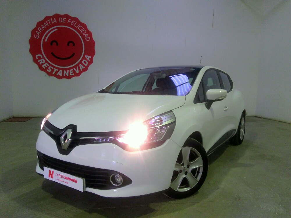 Imagen de Renault Clio Limited 