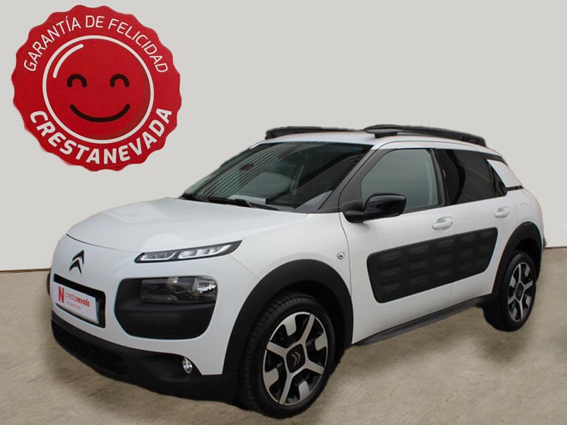 Imagen de CITROEN C4 Cactus