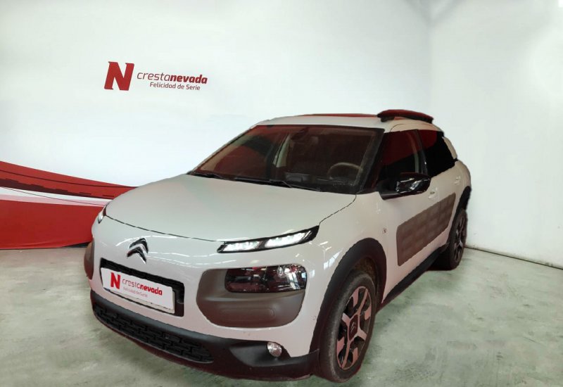 Imagen de CITROEN C4 Cactus