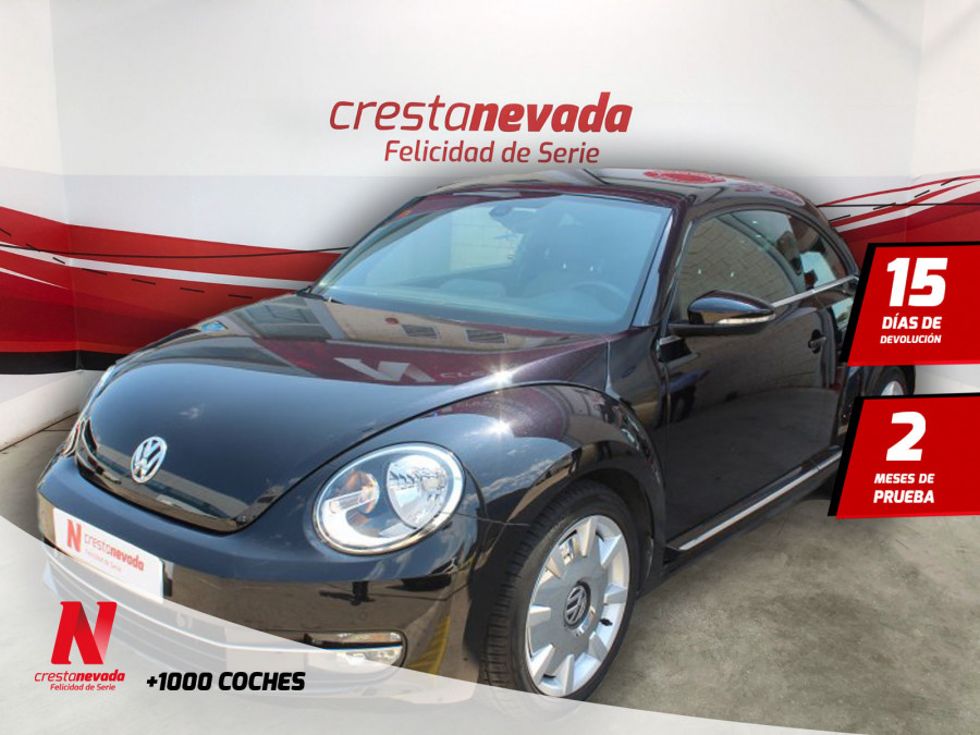 Imagen de Volkswagen Beetle