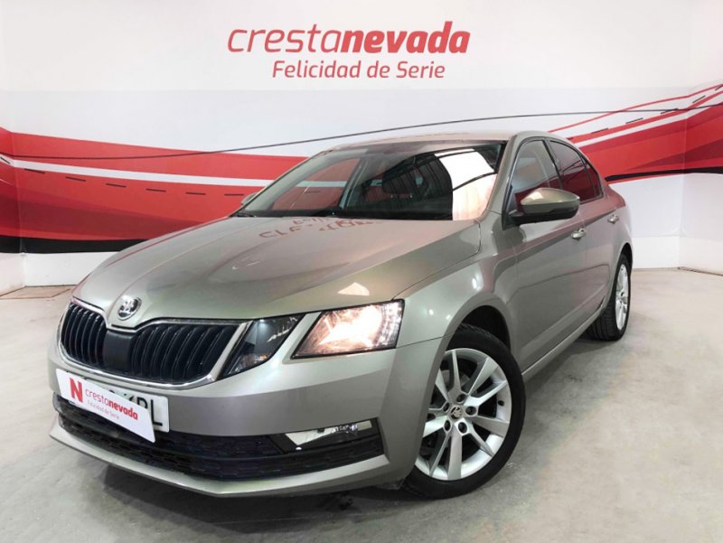 Imagen de Skoda Octavia