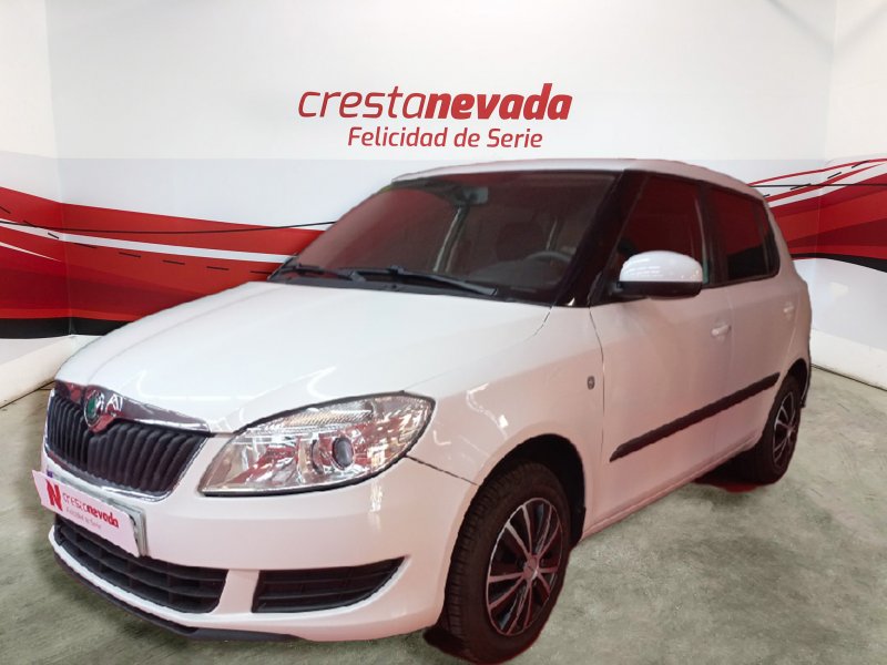 Imagen de Skoda Fabia