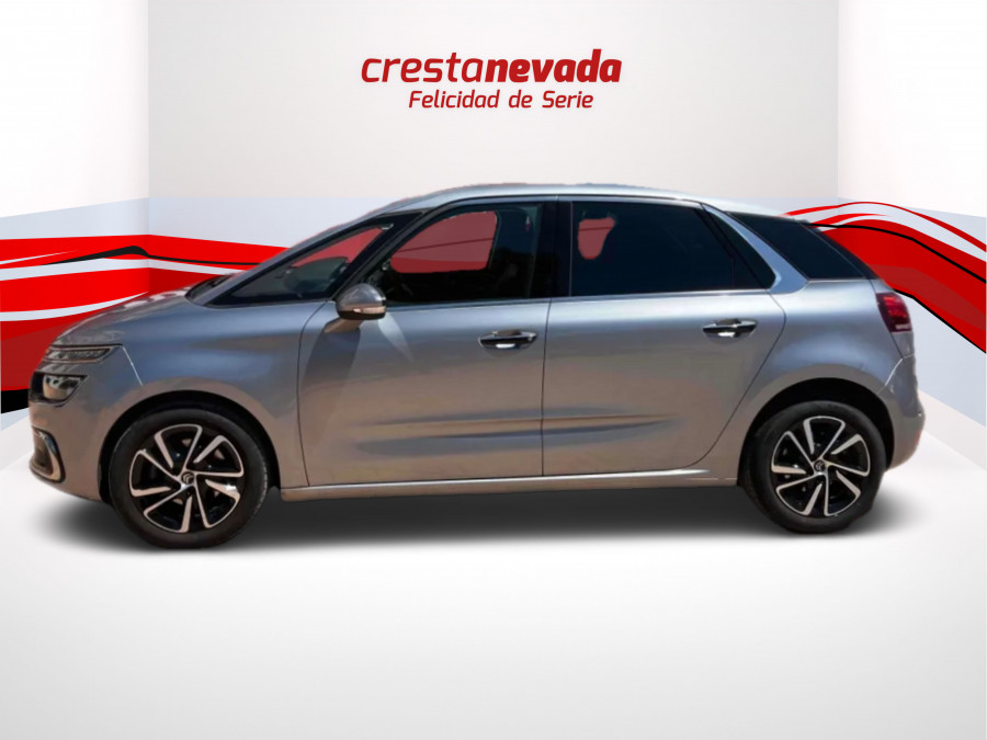 Crestanevada