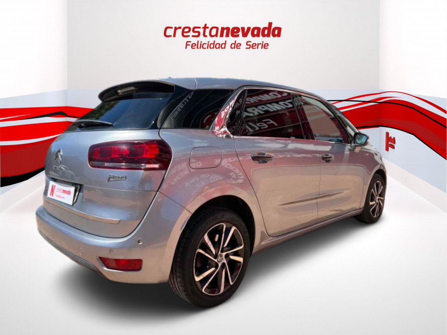 Crestanevada